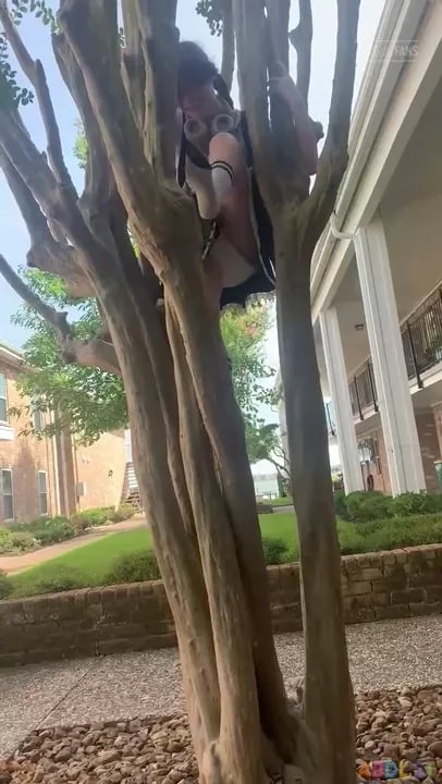 Littlediaperidol - Wild Diaper Girl Climbing Trees