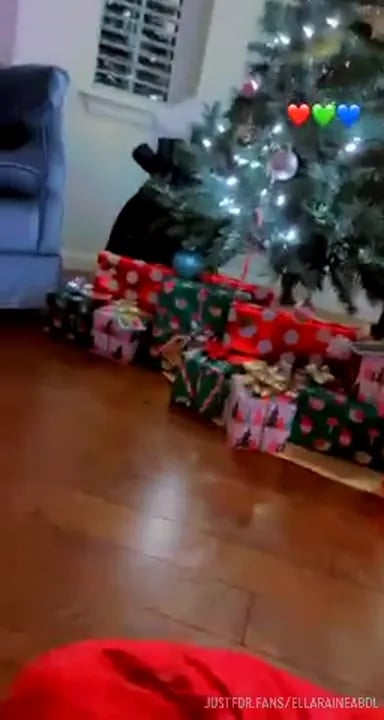 Ella Raine - Christmas is coming.mp4