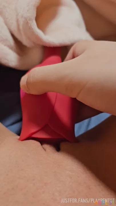 Playpentot - Rose Toy Adult Diaper Fun