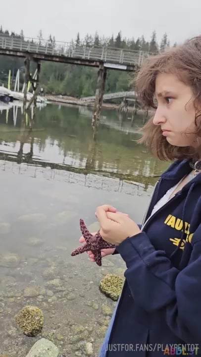 Playpentot - Starfish Adventure And Gentle Bullying